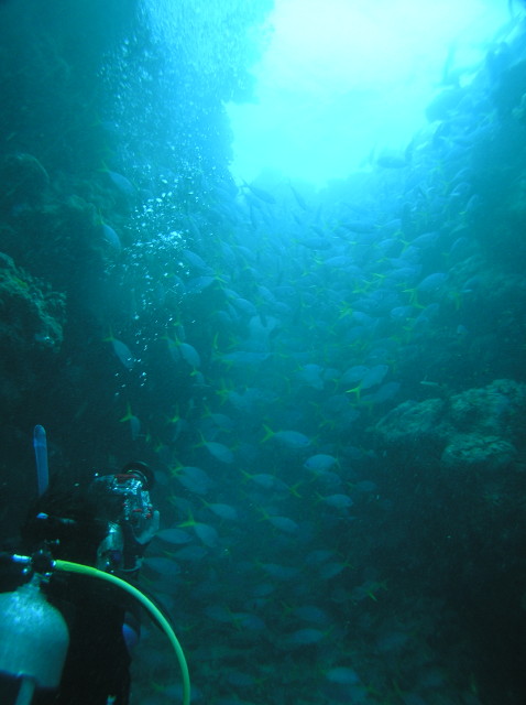 img0020.jpg