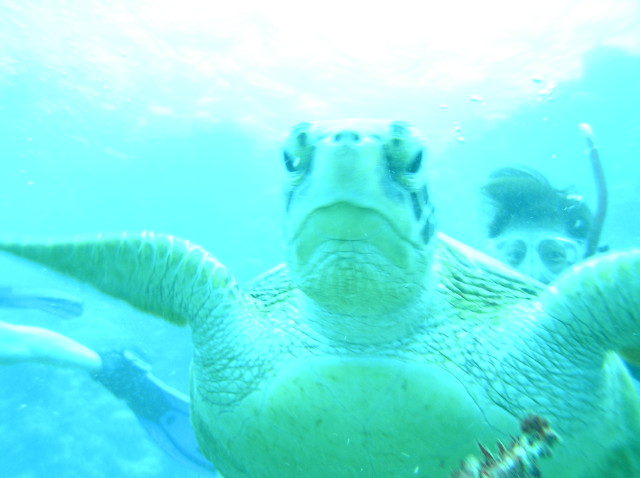 img0023.jpg