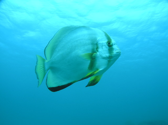 img0026.jpg