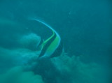 img0001.jpg