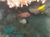 img0002.jpg