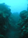 img0005.jpg