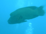 img0007.jpg