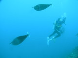 img0014.jpg