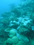 img0017.jpg