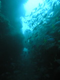 img0019.jpg