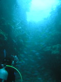 img0020.jpg