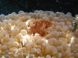 img0021.jpg