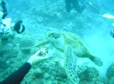 img0022.jpg