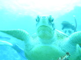 img0023.jpg