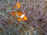 img0024.jpg