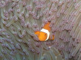 img0025.jpg