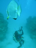 img0027.jpg