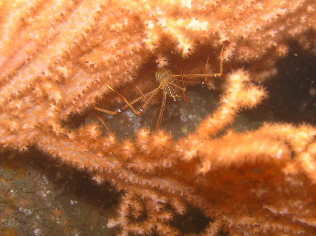 img0003.jpg