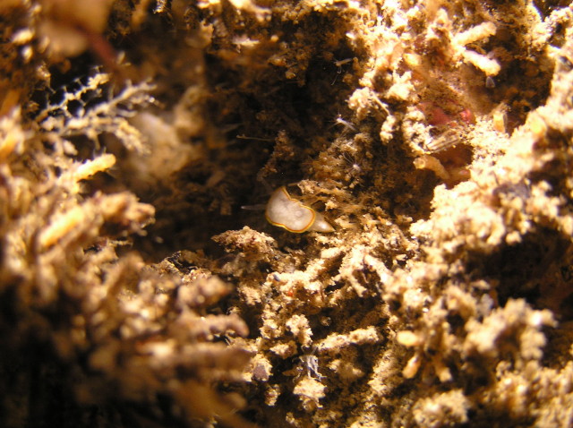 img0012.jpg
