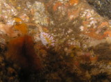 img0002.jpg