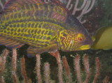 img0004.jpg
