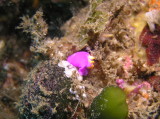 img0005.jpg