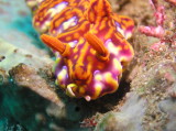 img0006.jpg
