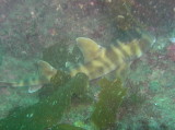 img0007.jpg
