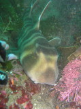 img0008.jpg