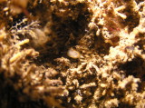 img0012.jpg