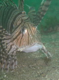 img0013.jpg