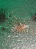 img0015.jpg