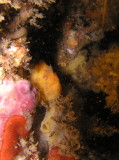 img0016.jpg