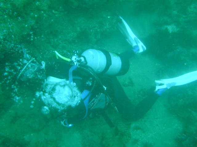 img0002.jpg