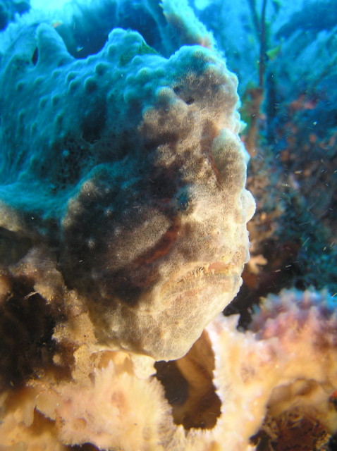 img0004.jpg