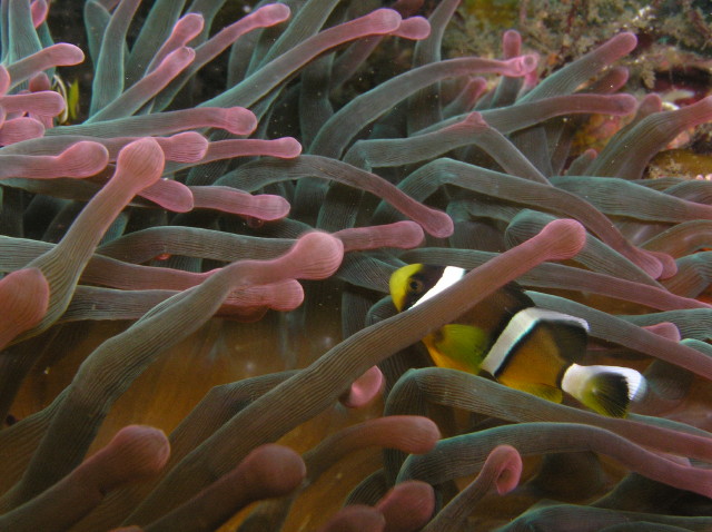img0005.jpg