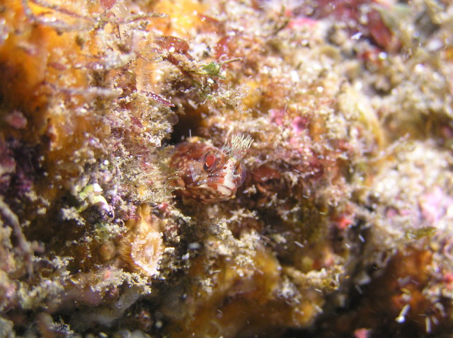 img0007.jpg