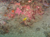 img0003.jpg