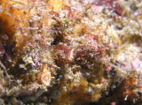 img0007.jpg