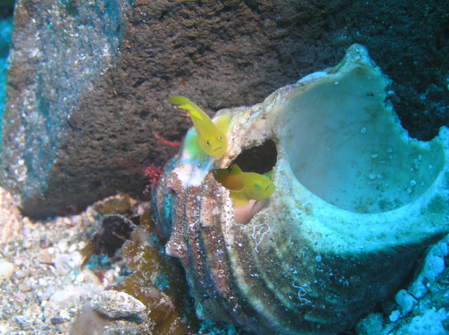 img0002.jpg