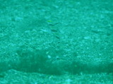 img0000.jpg