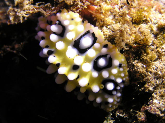 img0003.jpg