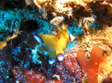 img0001.jpg