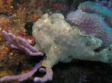 img0002.jpg