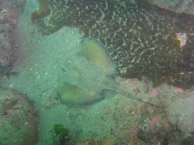 img0002.jpg
