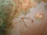 img0001.jpg