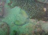 img0002.jpg