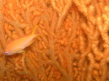 img0004.jpg