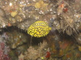 img0005.jpg