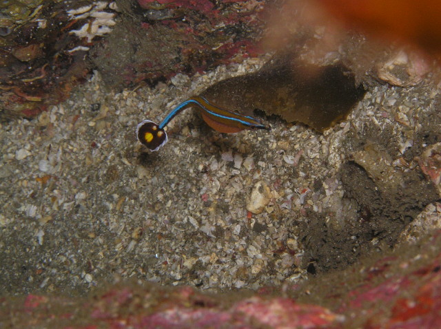 img0001.jpg