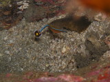img0001.jpg