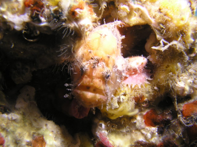 img0005.jpg