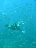 img0003.jpg