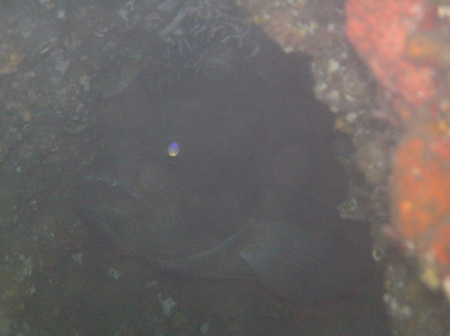 img0002.jpg